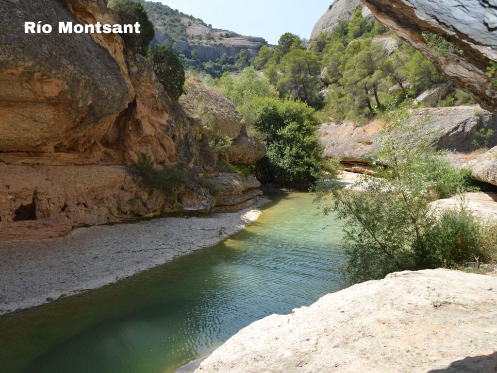 Serra de Prades, Camping Catalogne - 20